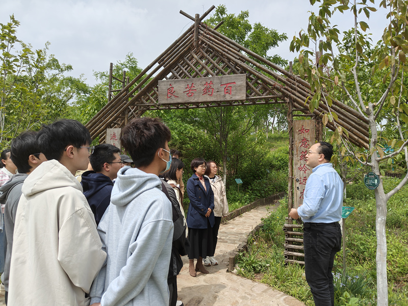 老师带领学生们到天津中医药大学内的药山上识药。天津中医药大学供图