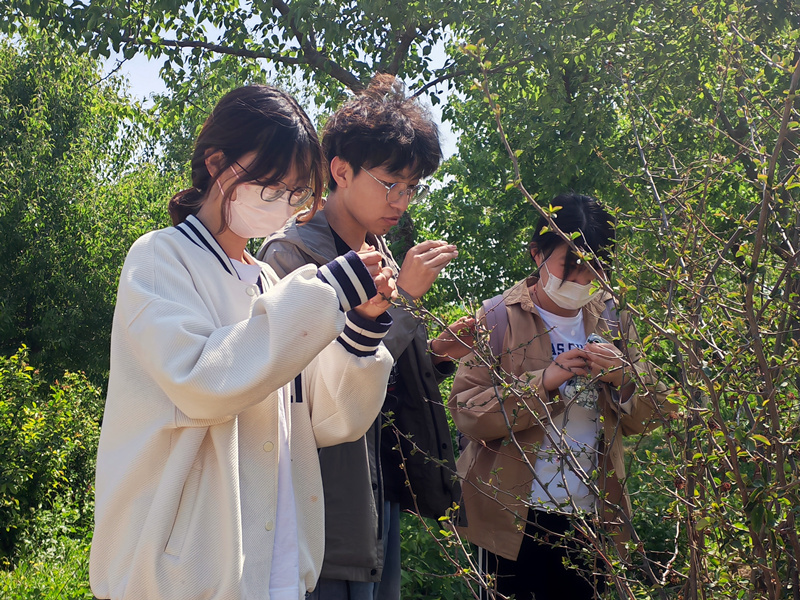 学生们在天津中医药大学内的药山上识药。天津中医药大学供图
